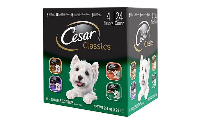 CESAR Classics Poultry Flavored Adult Wet Dog Food Trays