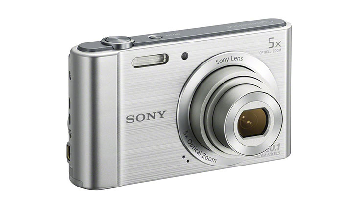 Sony W800/S 20.1 MP Digital Camera (Silver)