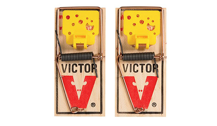 Victor EZ set mouse trap (Pack of 12)