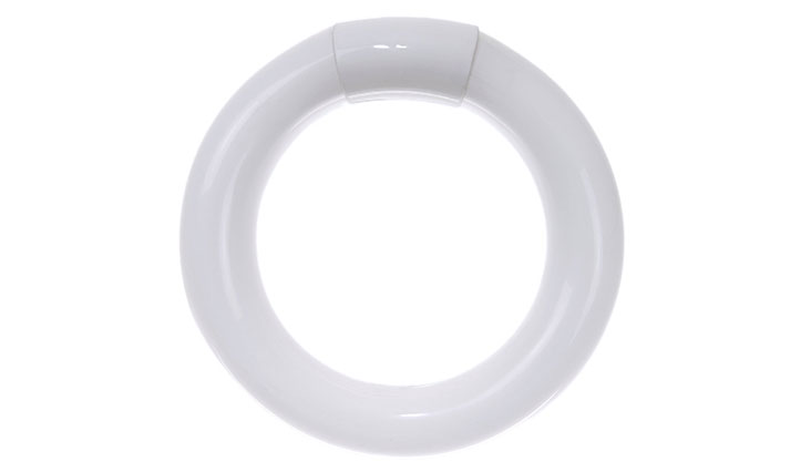 Sunlite FC8T9/DL Fluorescent 22W T9 Circline Ceiling Lights, 6500K Daylight Like Light, 4-Pin Base